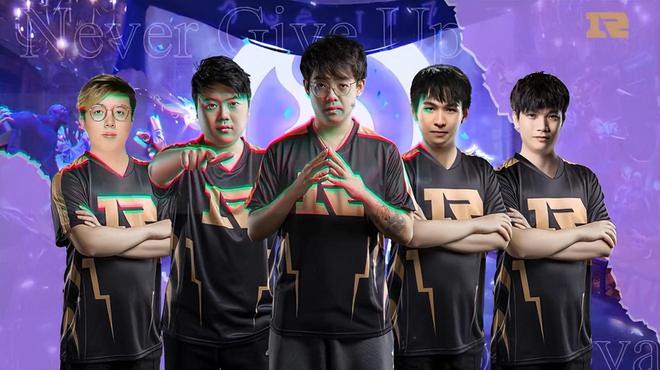 网络放大效 网络放大效