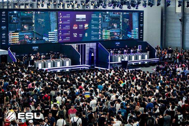 我们会尽力 我们会尽力